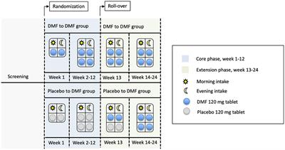 Rationale and protocol of a double-blind, randomized, placebo-controlled trial to test the efficacy, safety, and tolerability of dimethyl fumarate in Friedreich Ataxia (DMF-FA-201)